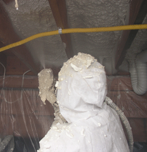 Provo UT crawl space insulation